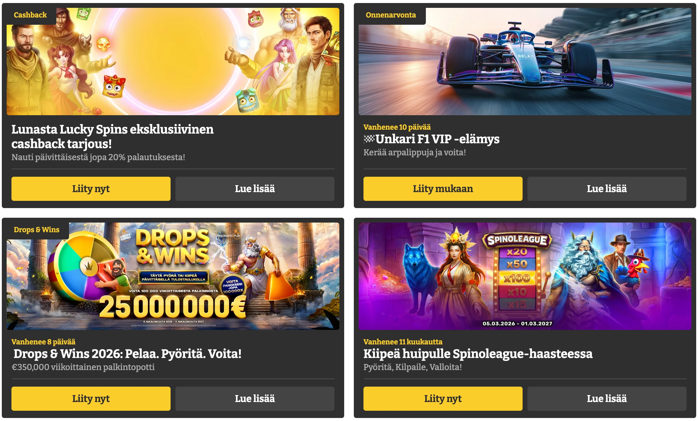 Luckyspins bonukset
